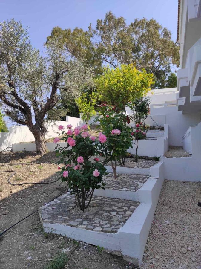 Arocaria - Faliraki Peaceful Apartments Exteriér fotografie