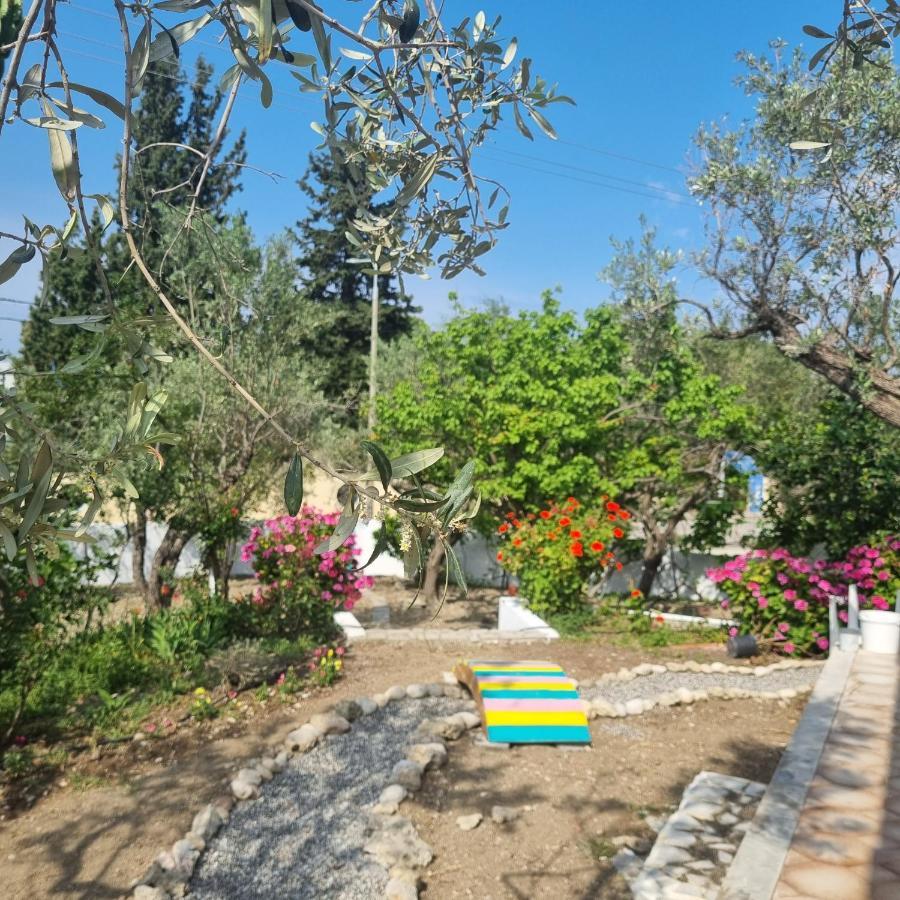 Arocaria - Faliraki Peaceful Apartments Exteriér fotografie