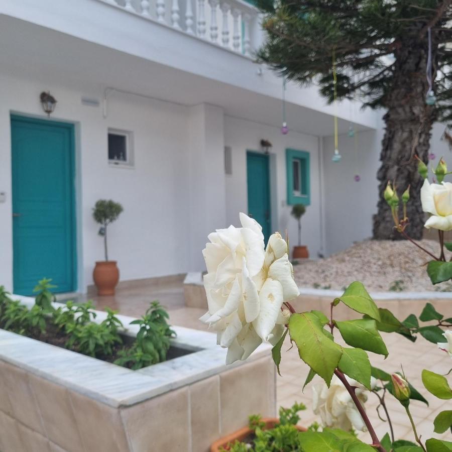 Arocaria - Faliraki Peaceful Apartments Exteriér fotografie